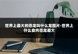 世界上最大的恐龙叫什么龙图片-世界上什么食肉恐龙最大