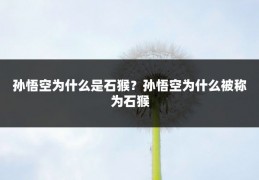 孙悟空为什么是石猴？孙悟空为什么被称为石猴