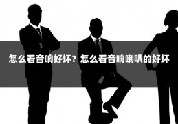 怎么看音响好坏?怎么看音响喇叭的好坏