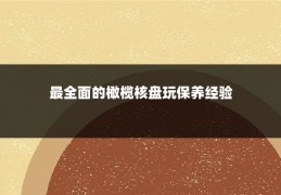 最全面的橄榄核盘玩保养经验