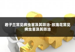 君子兰常见病虫害及其防治-玫瑰花常见病虫害及其防治