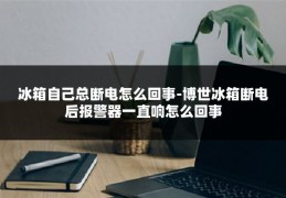 冰箱自己总断电怎么回事-博世冰箱断电后报警器一直响怎么回事