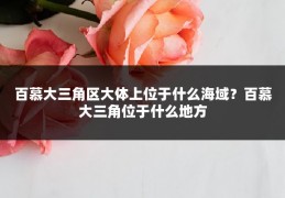 百慕大三角区大体上位于什么海域?百慕大三角位于什么地方