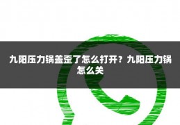 九阳压力锅盖歪了怎么打开?九阳压力锅怎么关