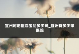 宜州河池医院宝胎多少钱_宜州有多少家医院