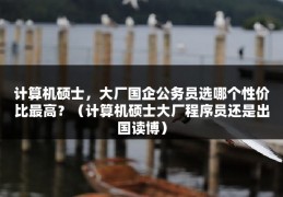 计算机硕士，大厂国企公务员选哪个性价比最高？（计算机硕士大厂程序员还是出国读博）