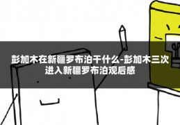 彭加木在新疆罗布泊干什么-彭加木三次进入新疆罗布泊观后感