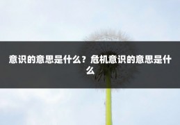意识的意思是什么？危机意识的意思是什么