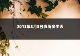 2013年3月3日农历多少天
