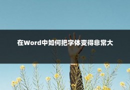 在Word中如何把字体变得非常大