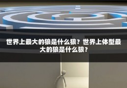 世界上最大的狼是什么狼?世界上体型最大的狼是什么狼?