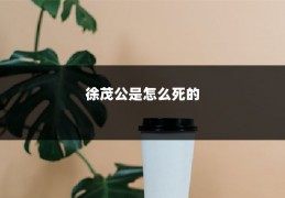 徐茂公是怎么死的