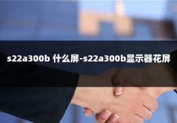 s22a300b 什么屏-s22a300b显示器花屏