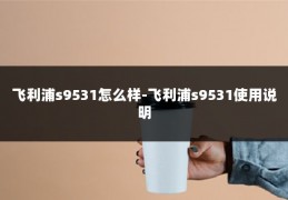 飞利浦s9531怎么样-飞利浦s9531使用说明