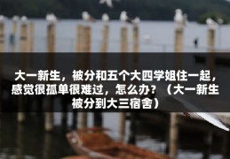 大一新生，被分和五个大四学姐住一起，感觉很孤单很难过，怎么办？（大一新生被分到大三宿舍）