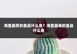 海里最贵的鱼是什么鱼?海里最毒的鱼是什么鱼