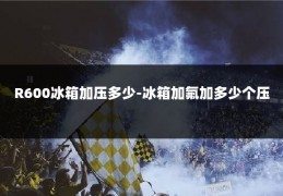 R600冰箱加压多少-冰箱加氟加多少个压