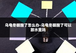 乌龟冬眠醒了怎么办-乌龟冬眠醒了可以放水里吗