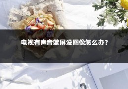 电视有声音蓝屏没图像怎么办？