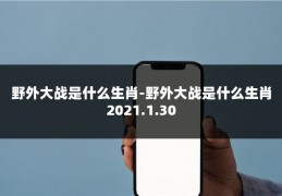 野外大战是什么生肖-野外大战是什么生肖2021.1.30