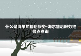 什么是海尔的售后服务-海尔售后服务维修点查询