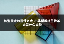 体型最大的是什么犬-小体型苏格兰牧羊犬是什么犬种