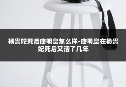 杨贵妃死后唐明皇怎么样-唐明皇在杨贵妃死后又活了几年