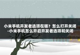 小米手机开发者选项在哪？怎么打开关闭-小米手机怎么开启开发者选项和关闭