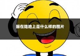 鲸在陆地上是什么样的图片