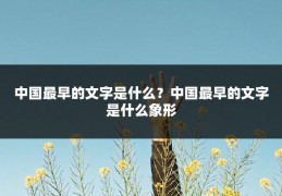 中国最早的文字是什么?中国最早的文字是什么象形