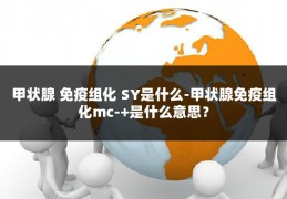 甲状腺 免疫组化 SY是什么-甲状腺免疫组化mc-+是什么意思?
