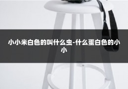 小小米白色的叫什么虫-什么蛋白色的小小