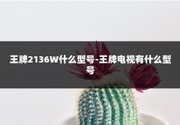 王牌2136W什么型号-王牌电视有什么型号