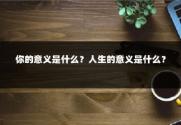 你的意义是什么？人生的意义是什么？