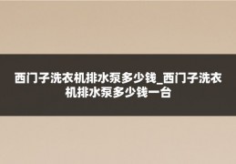 西门子洗衣机排水泵多少钱_西门子洗衣机排水泵多少钱一台
