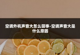 空调外机声音大怎么回事-空调声音大是什么原因