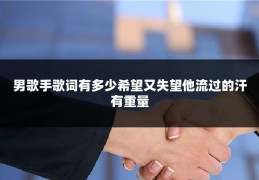 男歌手歌词有多少希望又失望他流过的汗有重量