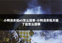 小鸭洗衣机e3怎么回事-小鸭洗衣机不转了是怎么回事