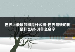 世界上最矮的树是什么树-世界最矮的树是什么树-叫什么名字