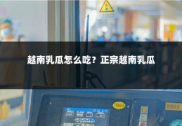 越南乳瓜怎么吃？正宗越南乳瓜