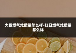 大臣燃气灶质量怎么样-红日燃气灶质量怎么样