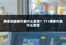 佛家的蜘蛛代表什么意思?111佛家代表什么意思