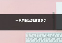 一只肉食公鸡进食多少