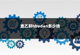 查乙肝hbvdan多少钱