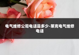 电气维修公司电话是多少-莱克电气维修电话