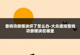 音响功放模块坏了怎么办-大众途观音响功放模块在哪里
