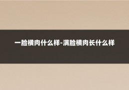 一脸横肉什么样-满脸横肉长什么样