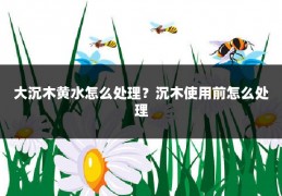 大沉木黄水怎么处理？沉木使用前怎么处理