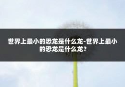 世界上最小的恐龙是什么龙-世界上最小的恐龙是什么龙？