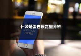 什么是蛋白质定量分析